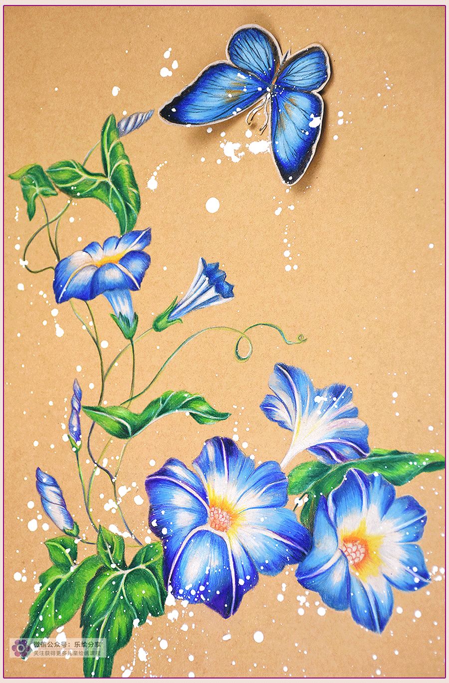 绘画教程彩铅画牵牛花