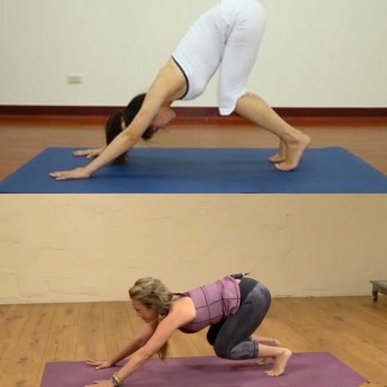 重点1,搞清楚屈膝下蹲,和我们平时下犬式屈膝有什么区别.