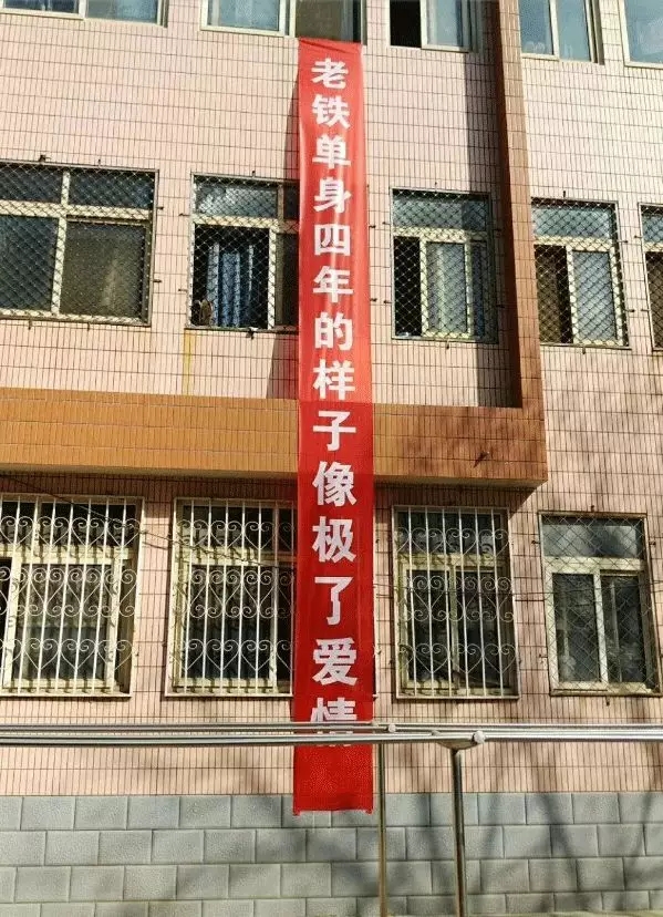 看完这些大学毕业横幅笑着笑着就泪流不止看哭了所有毕业生