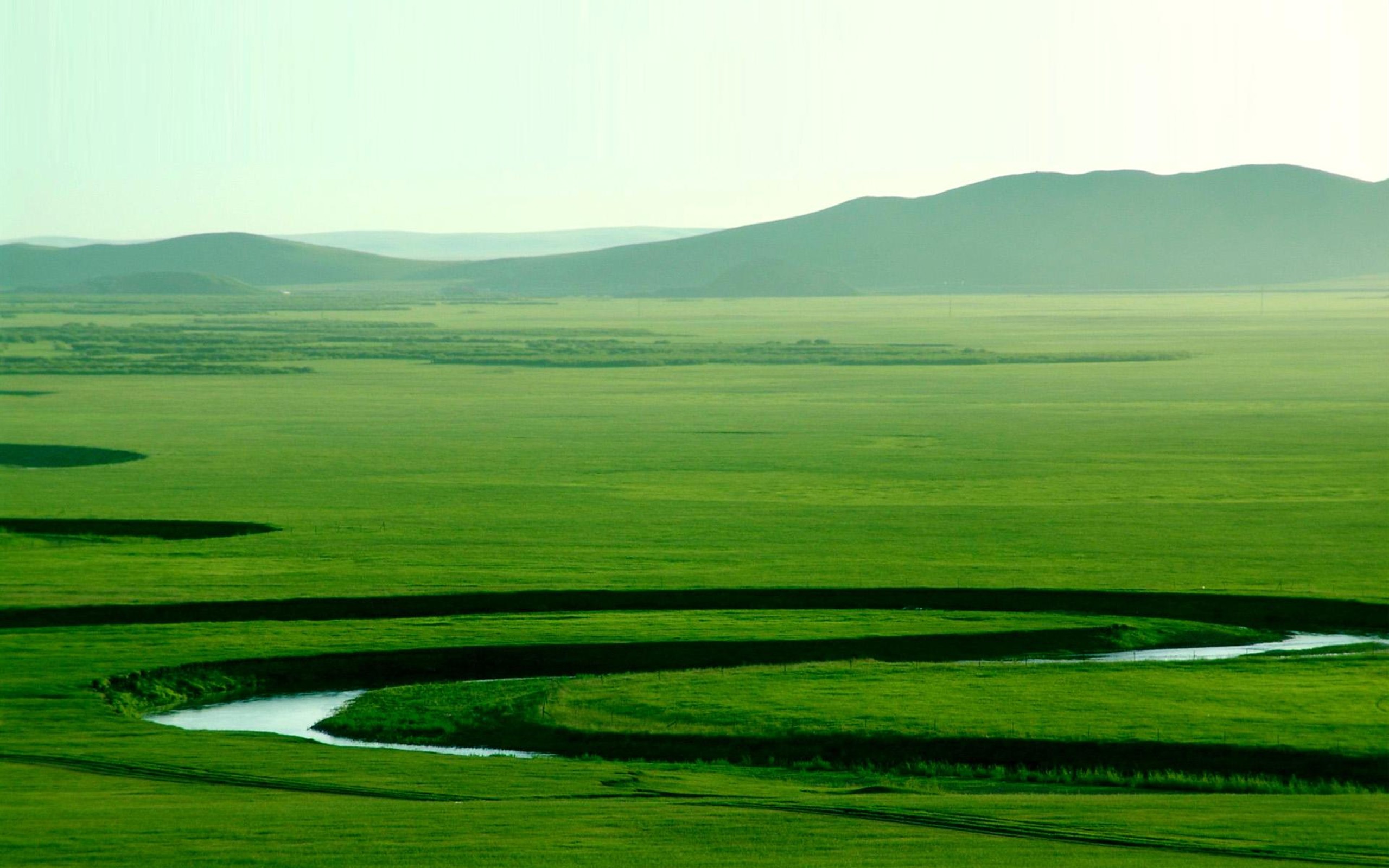 草原产业做活生态大文章铺就呼伦贝尔高质量发展最美底色
