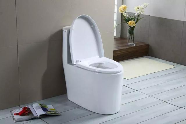 大数据下的中国10亿人没坐过飞机5亿人用不起马桶