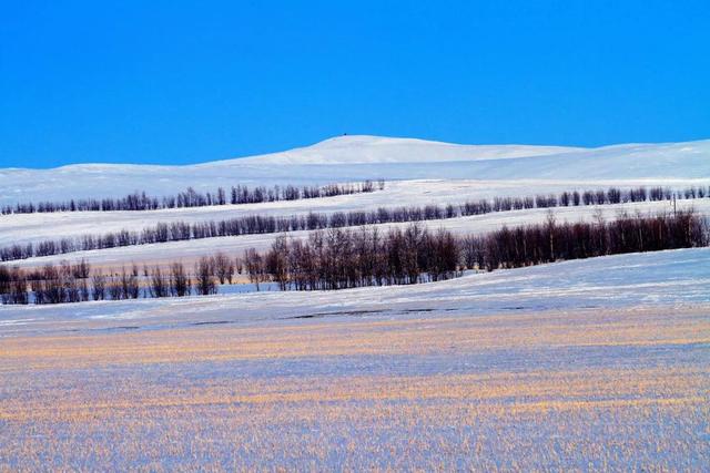 内蒙古大草原雪景图片图片