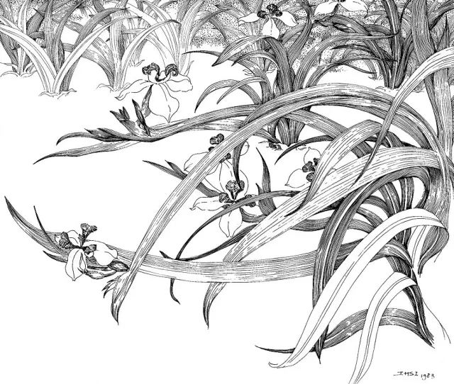 席慕蓉戳中无数人的隐痛我曾以为母亲并不爱我