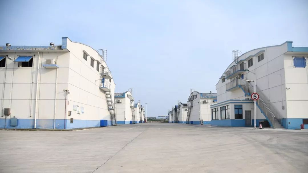 现代化"大粮仓"到底长啥样?我市最大的粮库是如何保存粮食的?