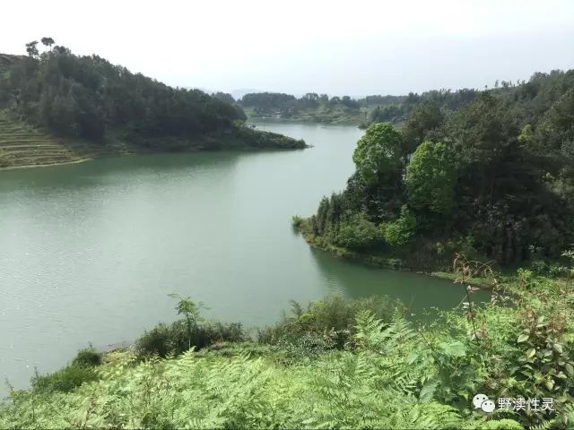 大竹县观音镇东行十里佛立山记