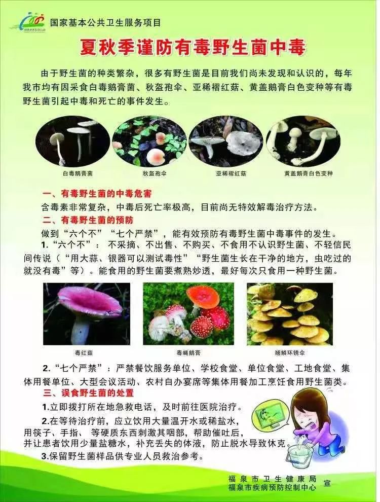当心远离野生菌谨防食物中毒