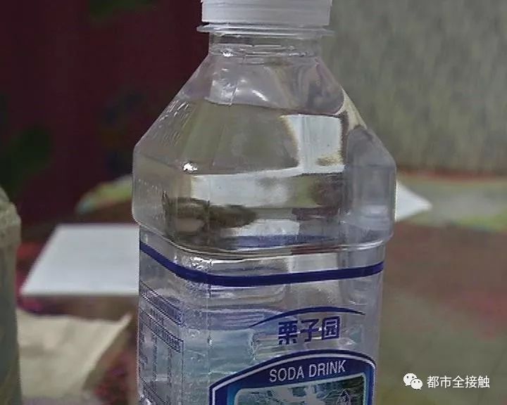 可怕栗子园苏打水里居然有这东西你喝过没