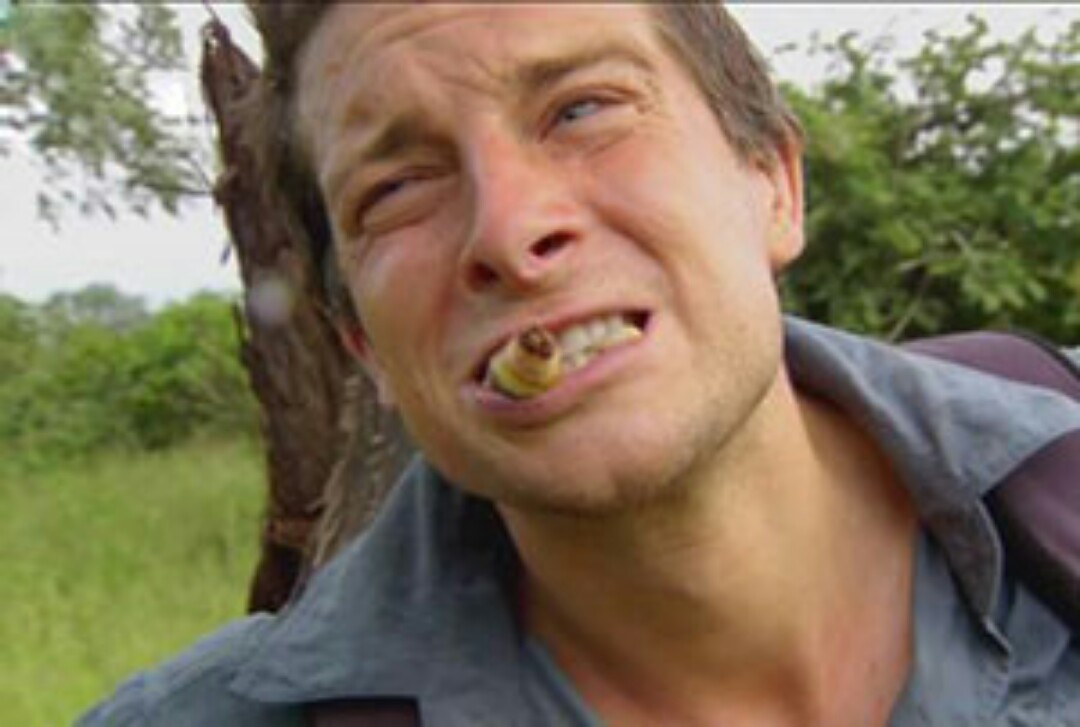 遭老外嫌弃的3种美食宁可饿肚子都不吃最后一种贝爷都得认怂