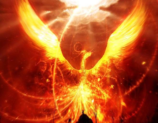 真的有凤凰?活了600万年的生物!简直与凤凰一模一样!