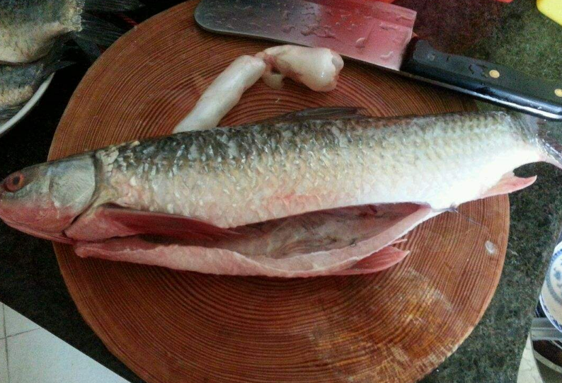 去掉鱼的贴骨血不管是鲫鱼还是草鱼,在鱼脊椎骨的部分,都会有着一层