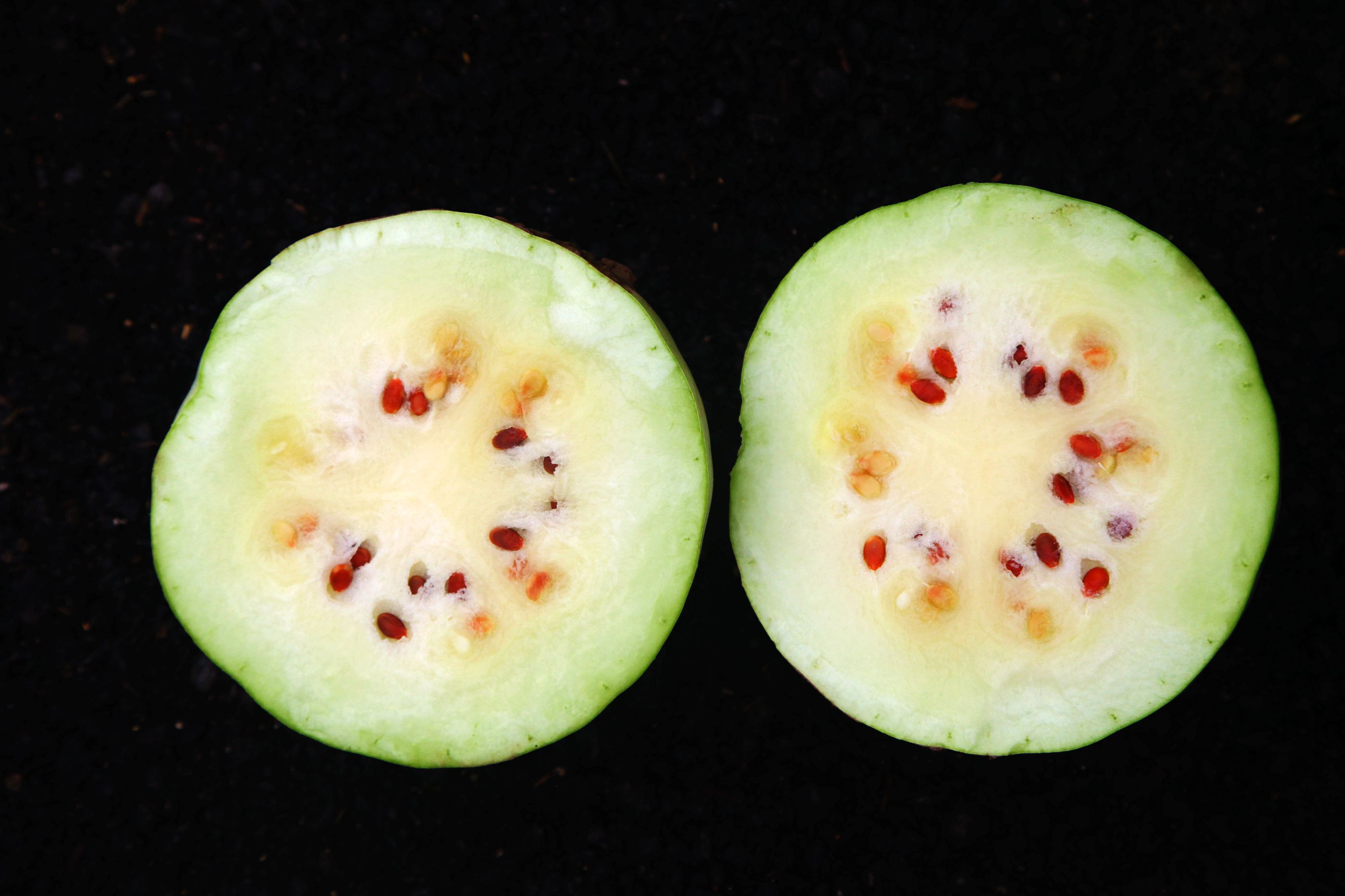 山西39岁农民种植1种稀罕瓜红籽白瓤7亩地收入5万元