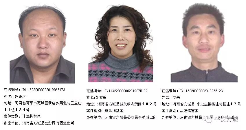 尽快追捕逃犯,方城县公安局现发布通缉令,公开通缉以下在逃人员