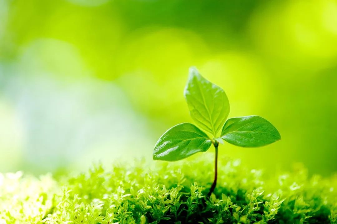 100个一看就会一读就错的字,不信带着孩子来念念?|涨知识