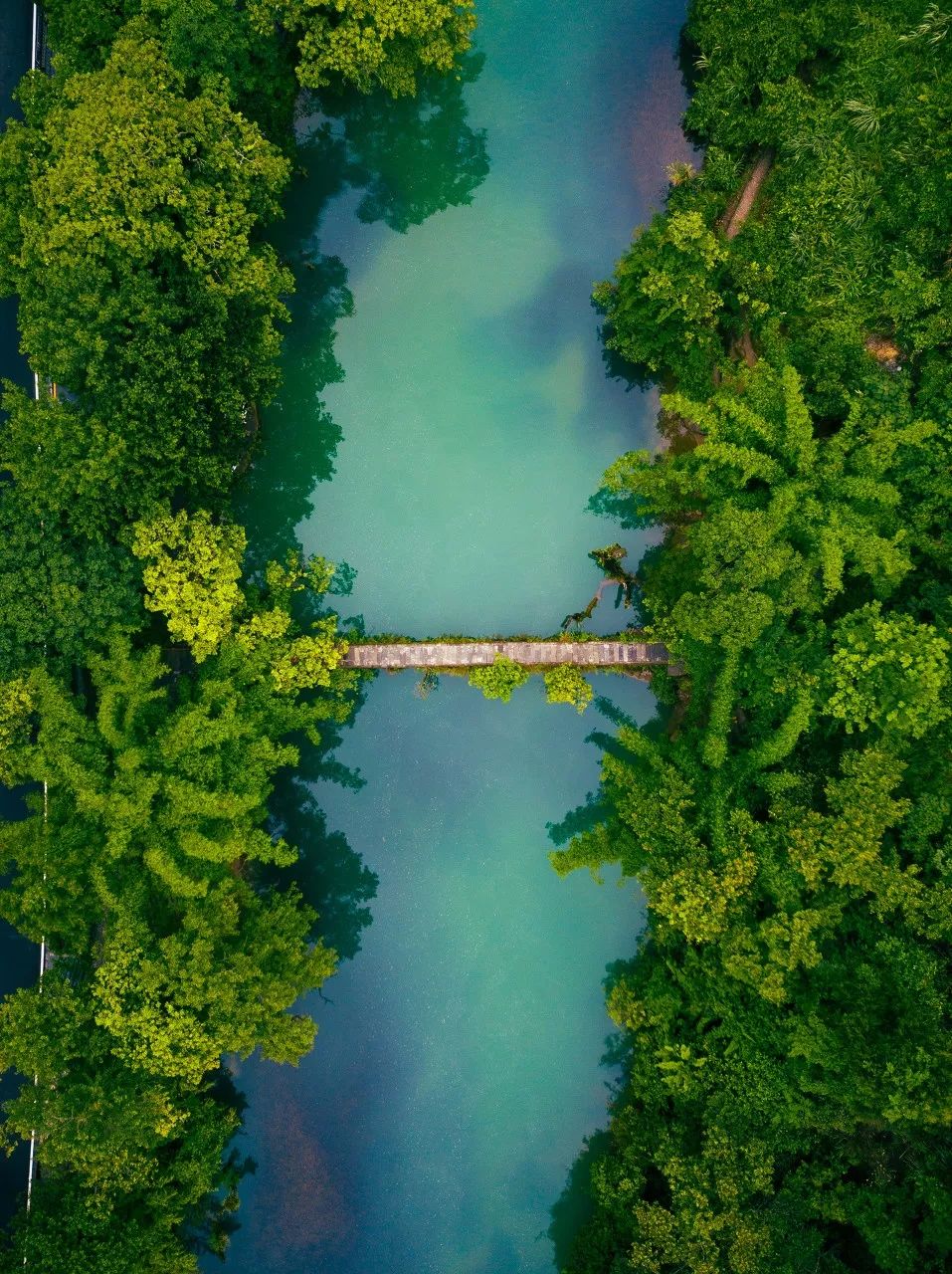 圖蟲 拾海月 如果說在炎炎夏日有什麼能驅使你出門旅行的話,除了涼爽