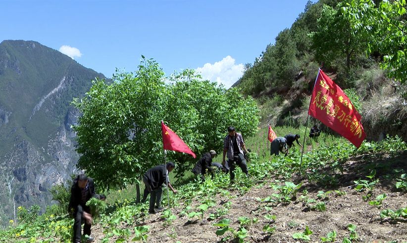 在德钦县霞若乡各么茸村,有这样一支"剪刀队"