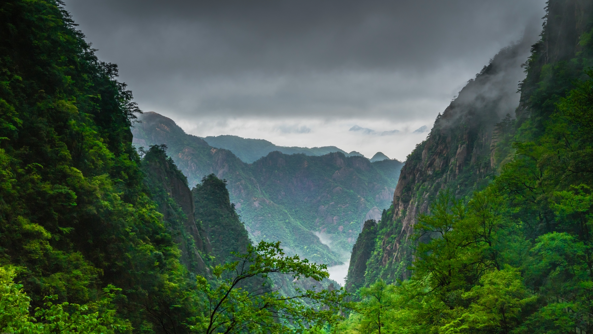 黄山风韵之烟雨黄山