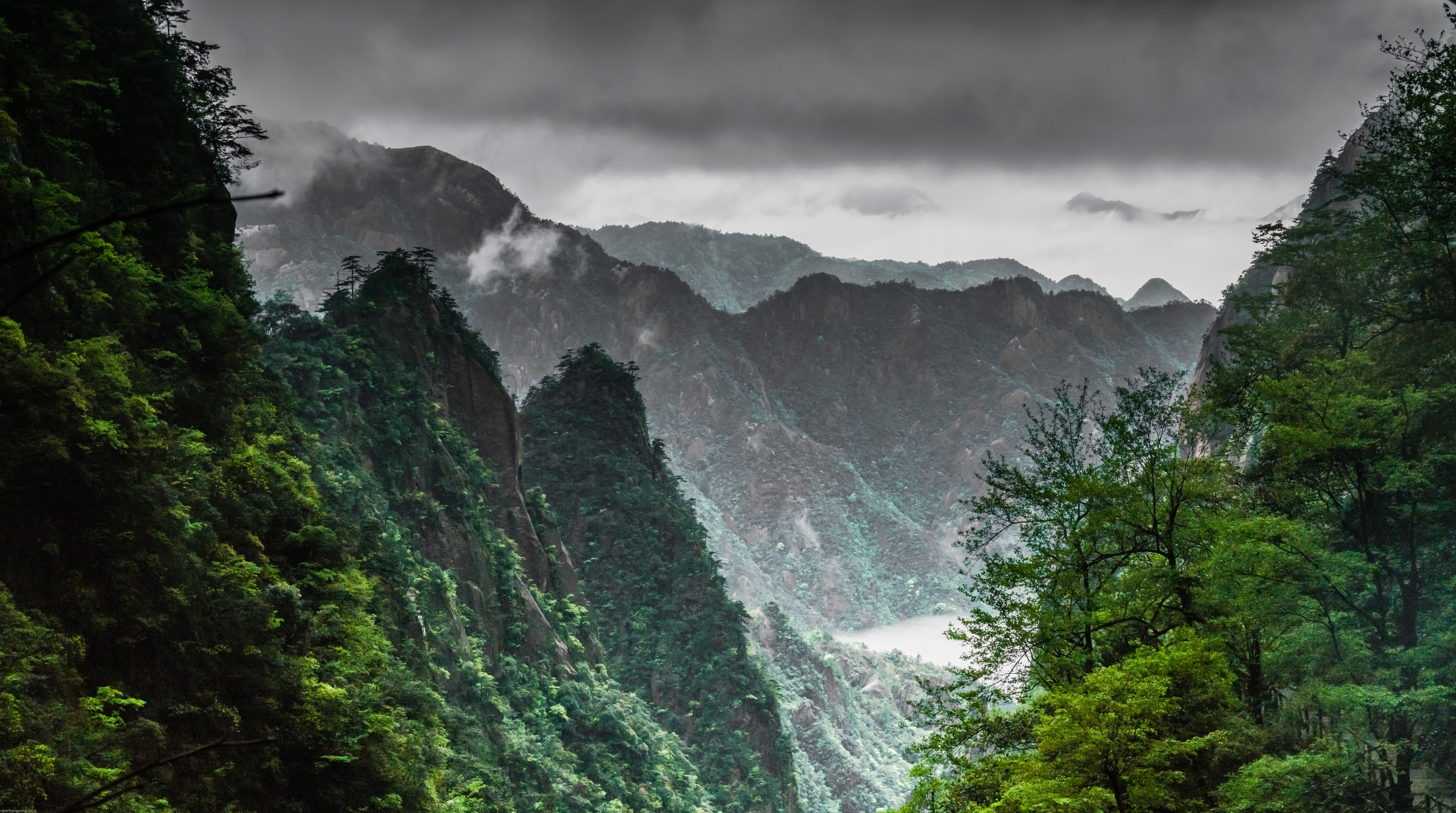 黄山风韵之烟雨黄山