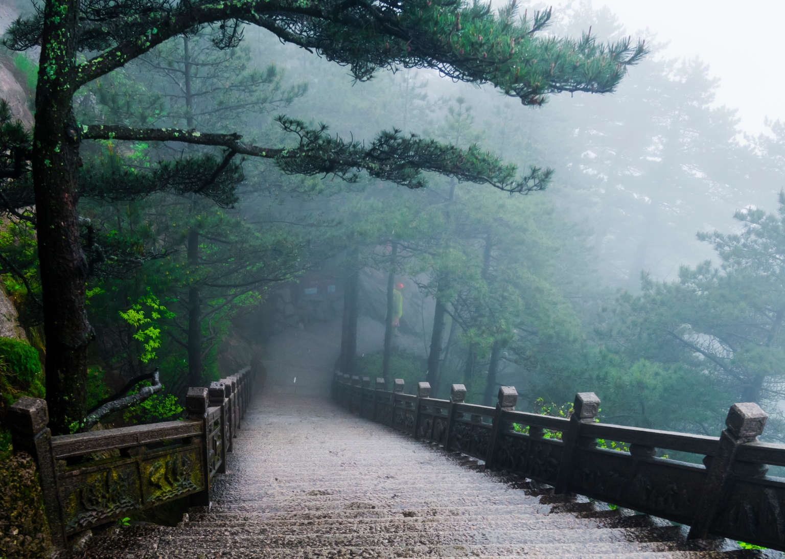 黃山風韻之煙雨黃山