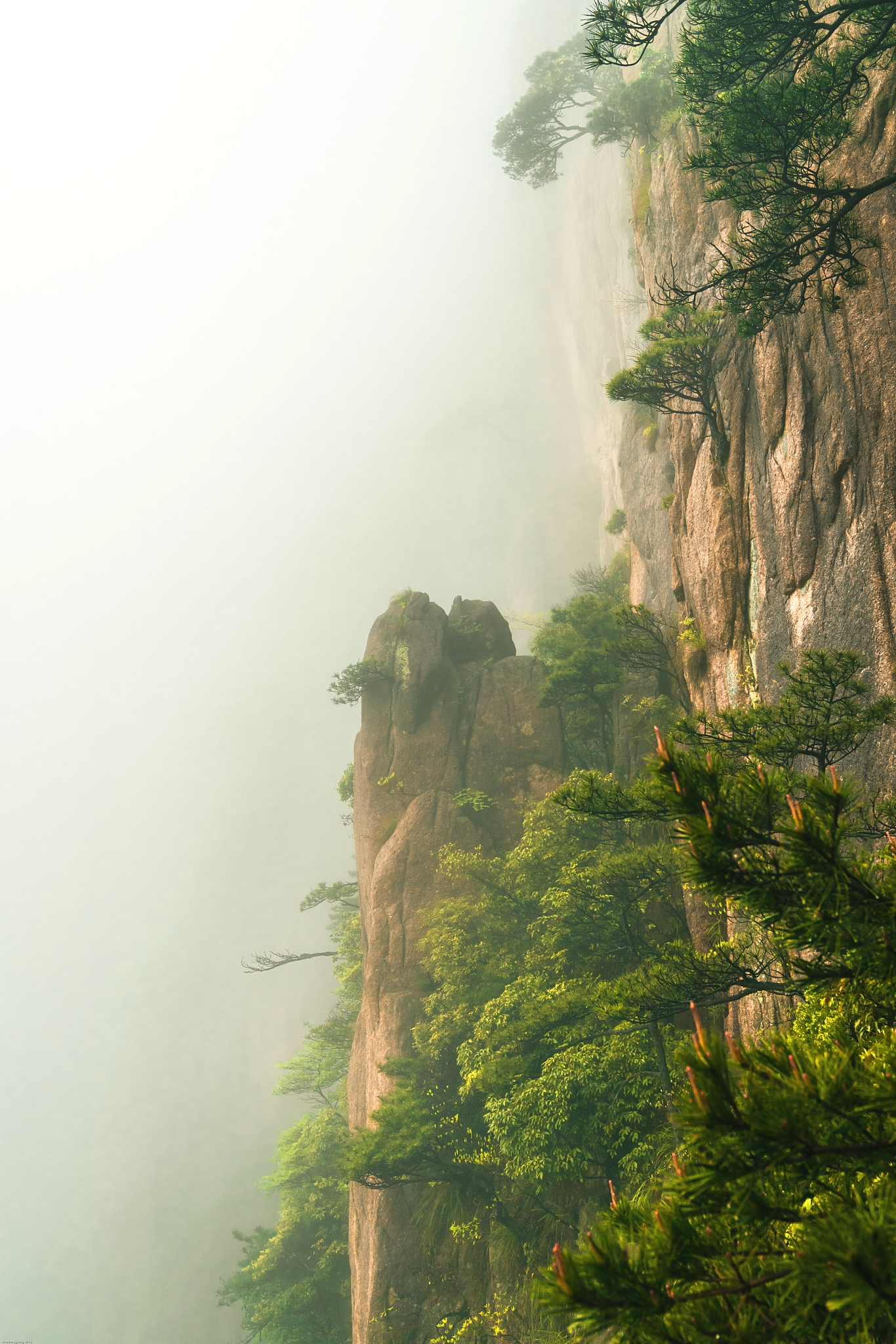 黄山风韵之烟雨黄山