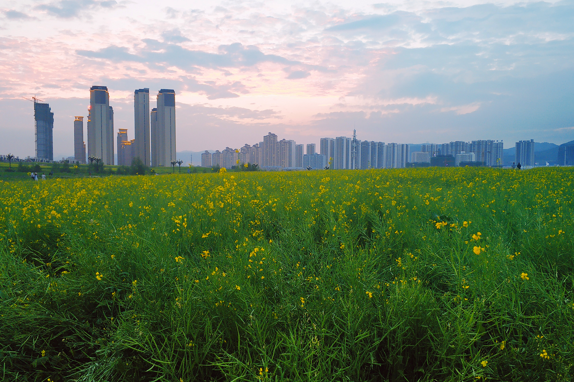 这3个城市非常适合旅行避暑景美且空气清新夏天平均气温20度