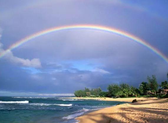 彩虹的约定糖系木色多肉玫瑰夏日焕颜秘术