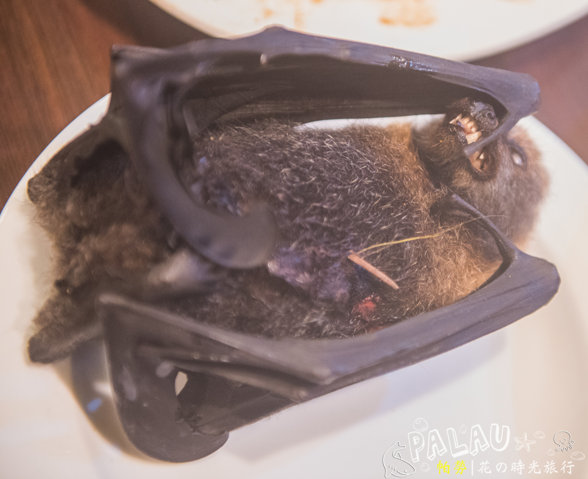蝙蝠,在帕劳是居然是一样特色美食,你能接受么?