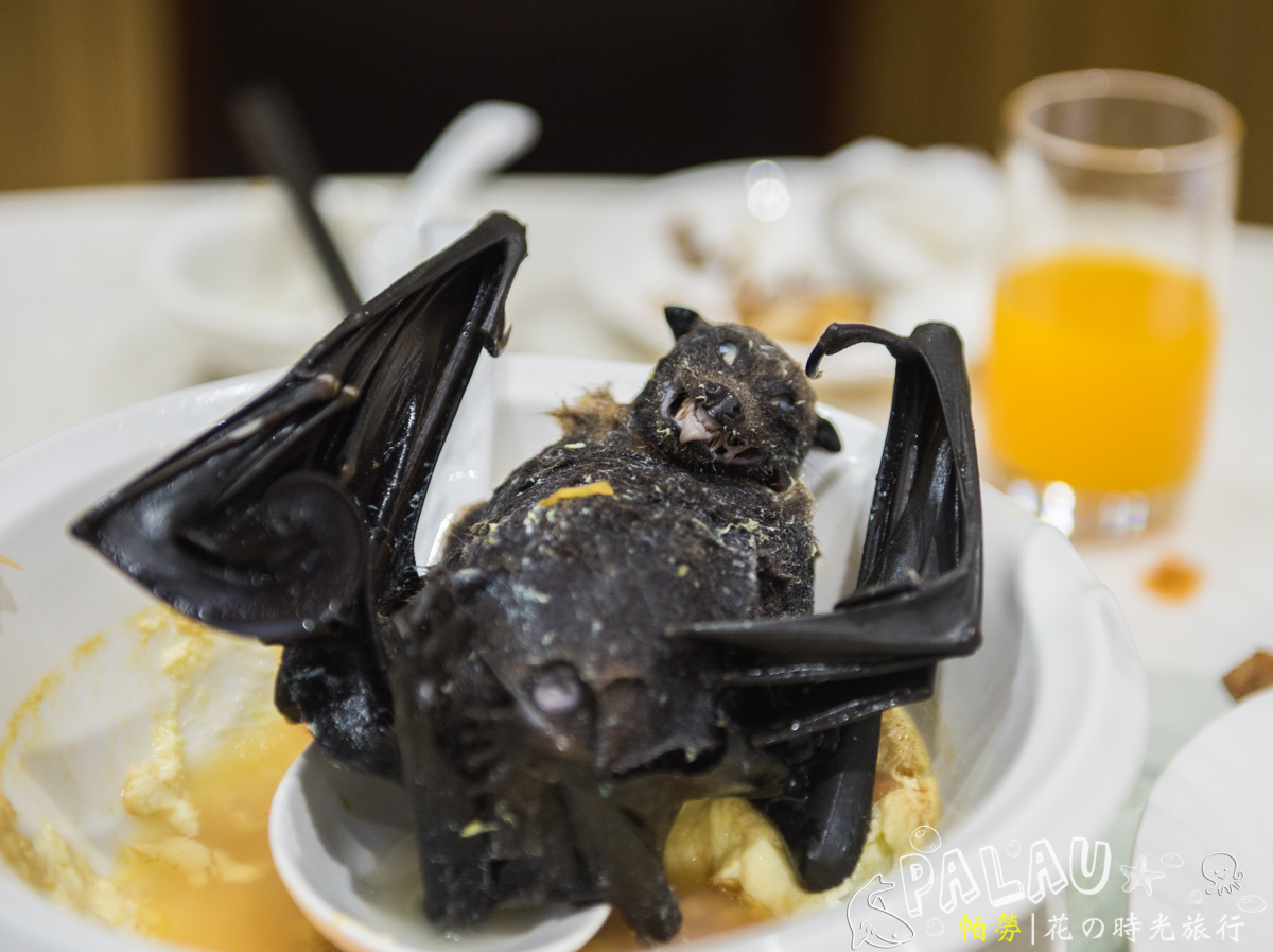 蝙蝠,在帕劳是居然是一样特色美食,你能接受么?