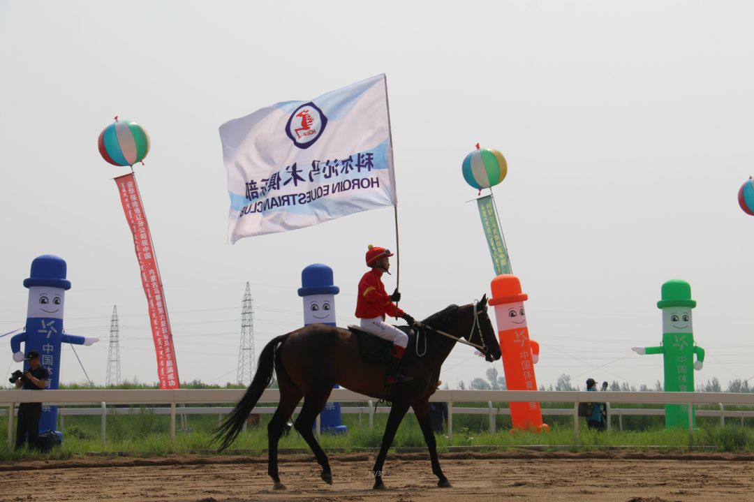 演出过后,运动员马队入场,马王扎那为骑师授开赛马鞭,比赛正式开始.