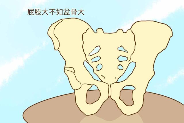 推翻谣言,其实不是屁股大好生养,生养与这个没关系