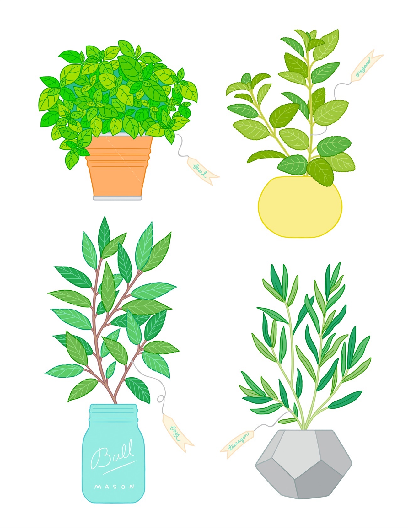 绿植这样画好玩又轻松收藏了