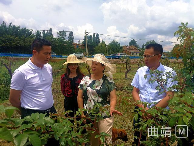 沾益:刘本芳到菱角乡调研基层党建和三联三争等工作