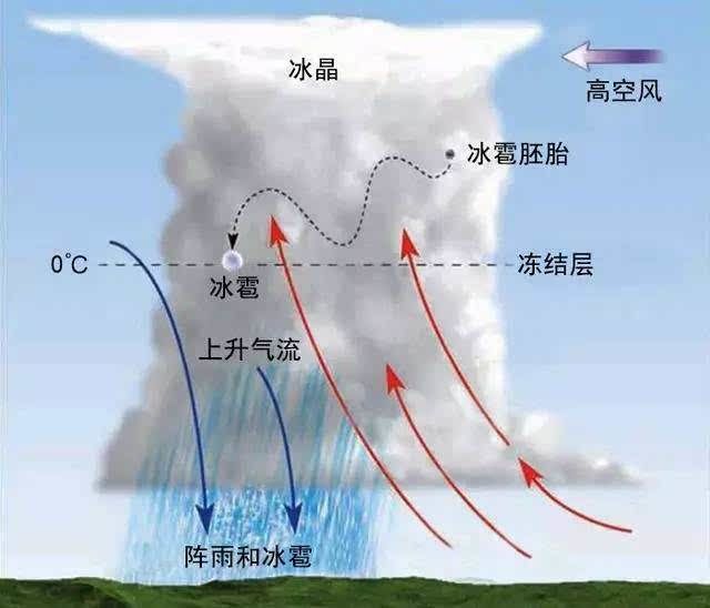 水汽上升遇冷会凝结成小水滴,到了高空气温降到0℃以下,水滴就凝结成