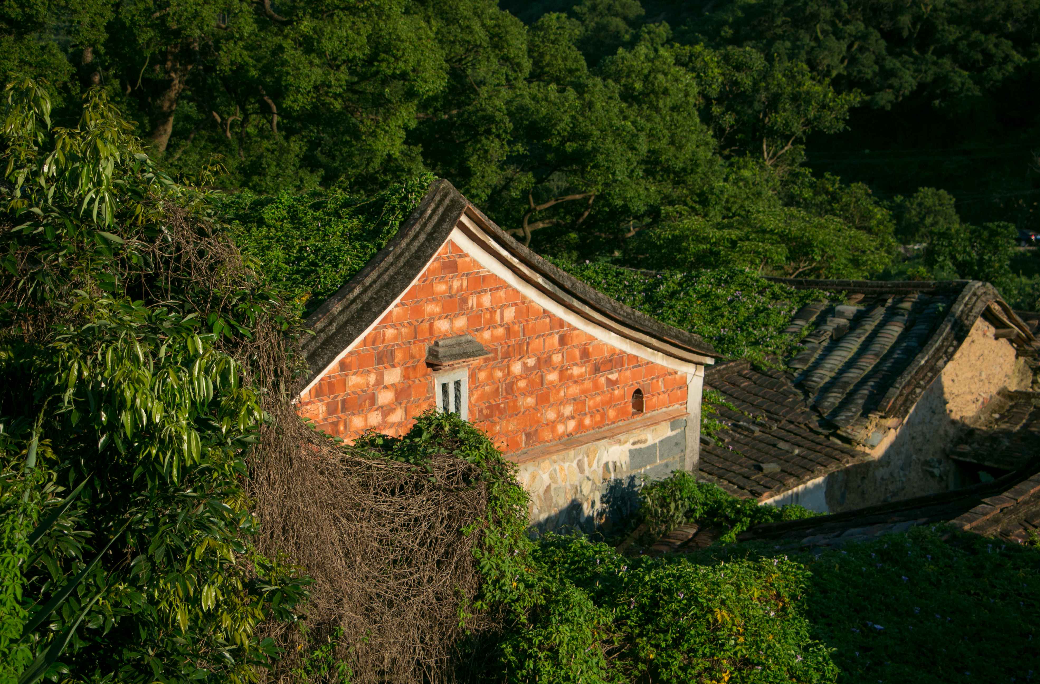 厦门最大的田园综合体大帽山镜昔日农场变身为休闲的世外桃源