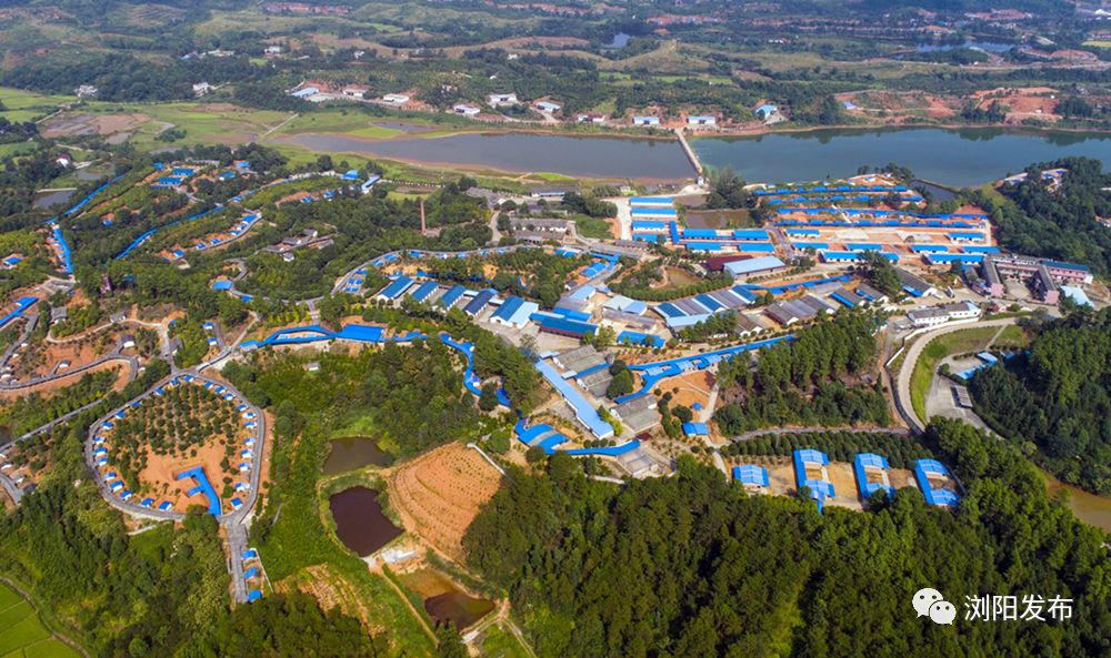 蔬果小镇这里是七彩沿溪