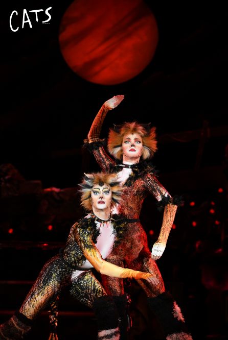 《猫》用丰富的肢体语汇构建了一个通俗易懂却又充满魅力的故事,在和