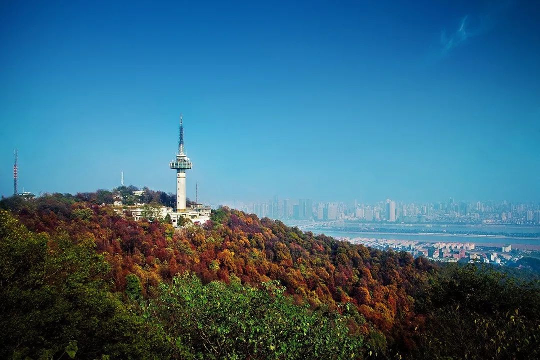 待遇好福利优岳麓山风景名胜区公开招聘啦