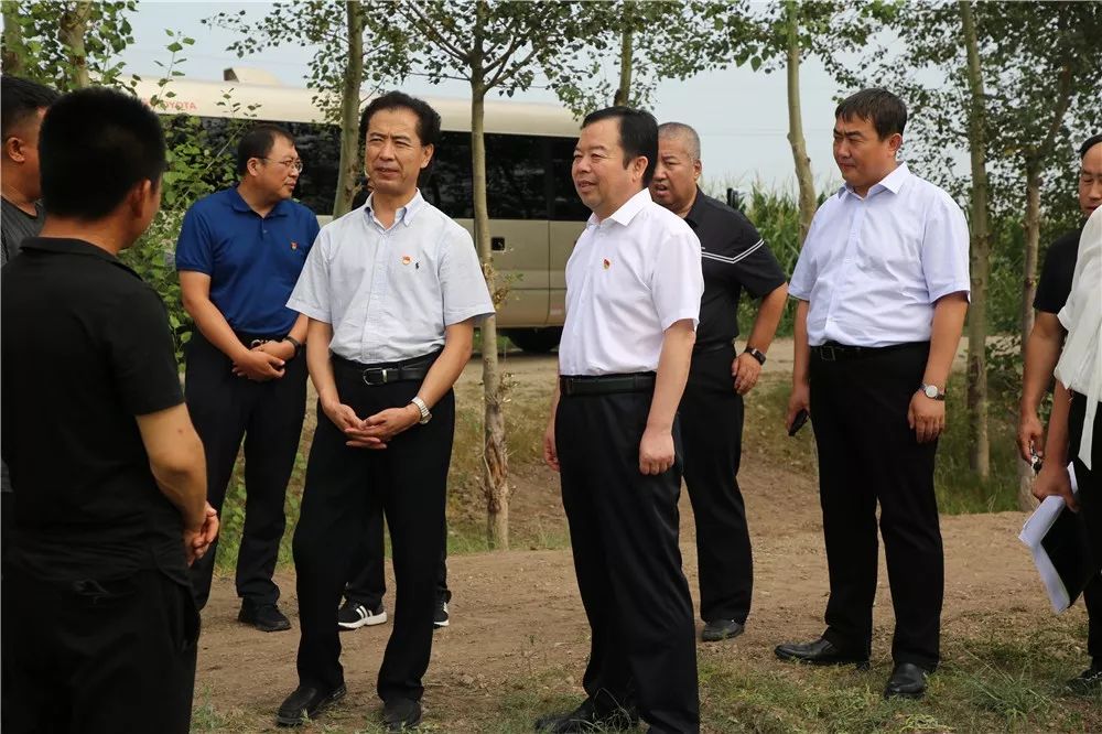 马焕龙到太本站镇调研