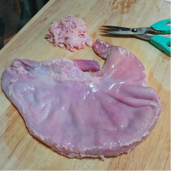 猪肚有肿瘤的图片图片