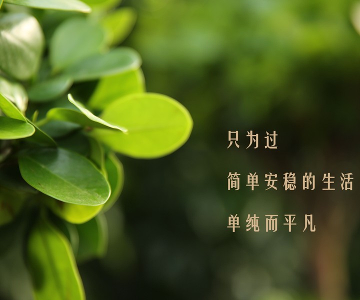 人的一生要不甘于平凡也要甘于平凡