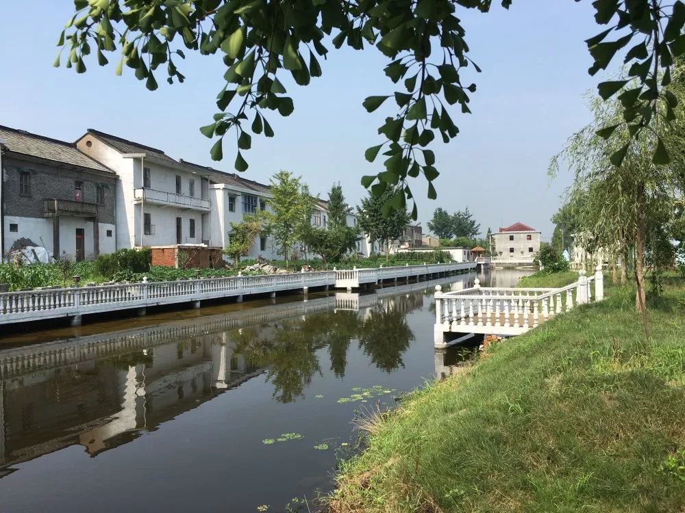 规模庞大江都这39个村庄被点名看看有没有你老家