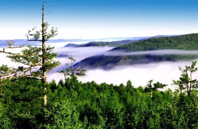 资讯鄂伦春到底有多美