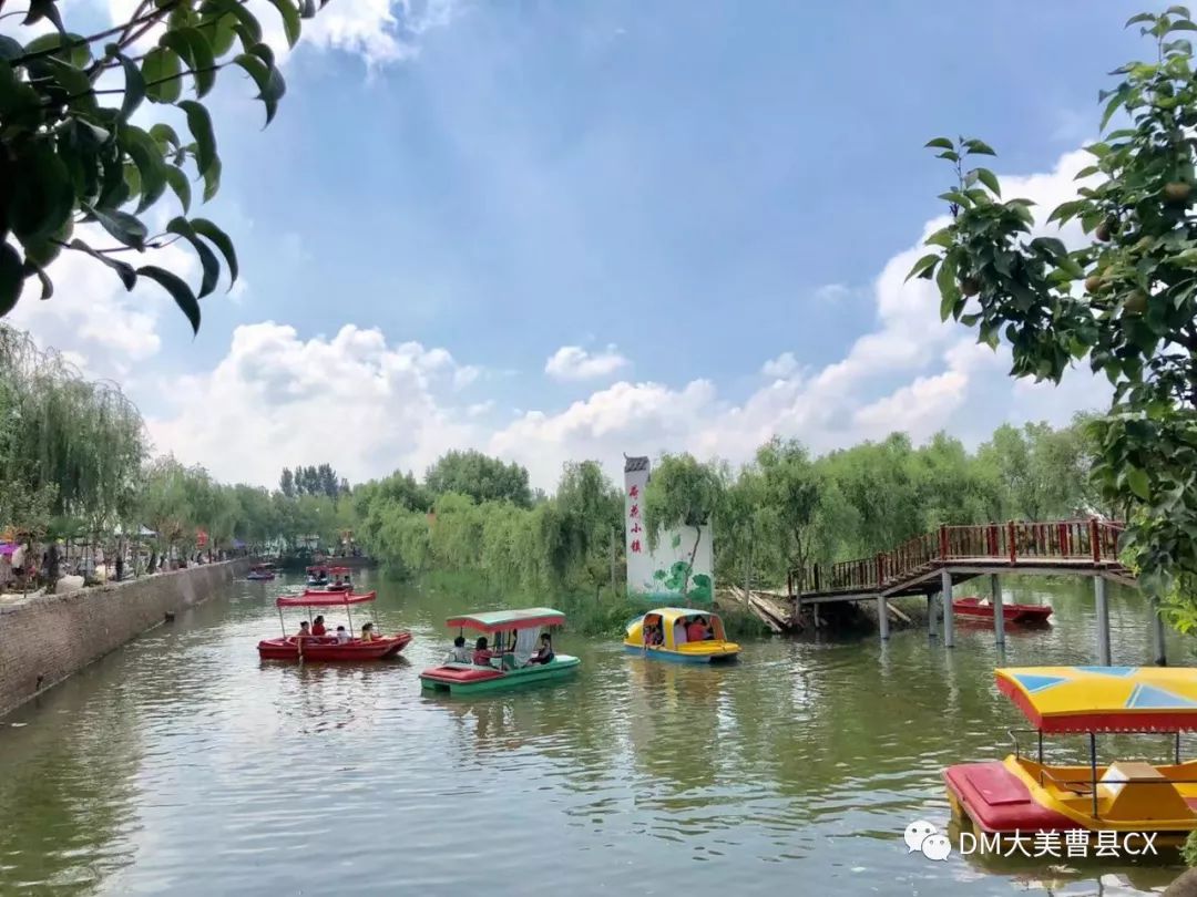 曹县黄河故道风景区图片