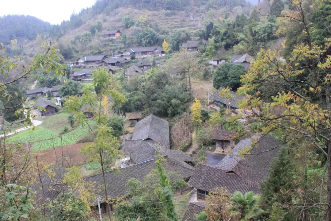 立刻分享寻景巴渝老屋盘点重庆五大知名村寨的故事