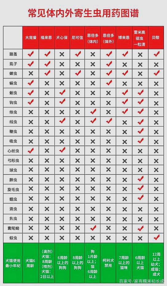 猫咪体内驱虫药大盘点我们不聊频率只聊功效不选贵的只选对的