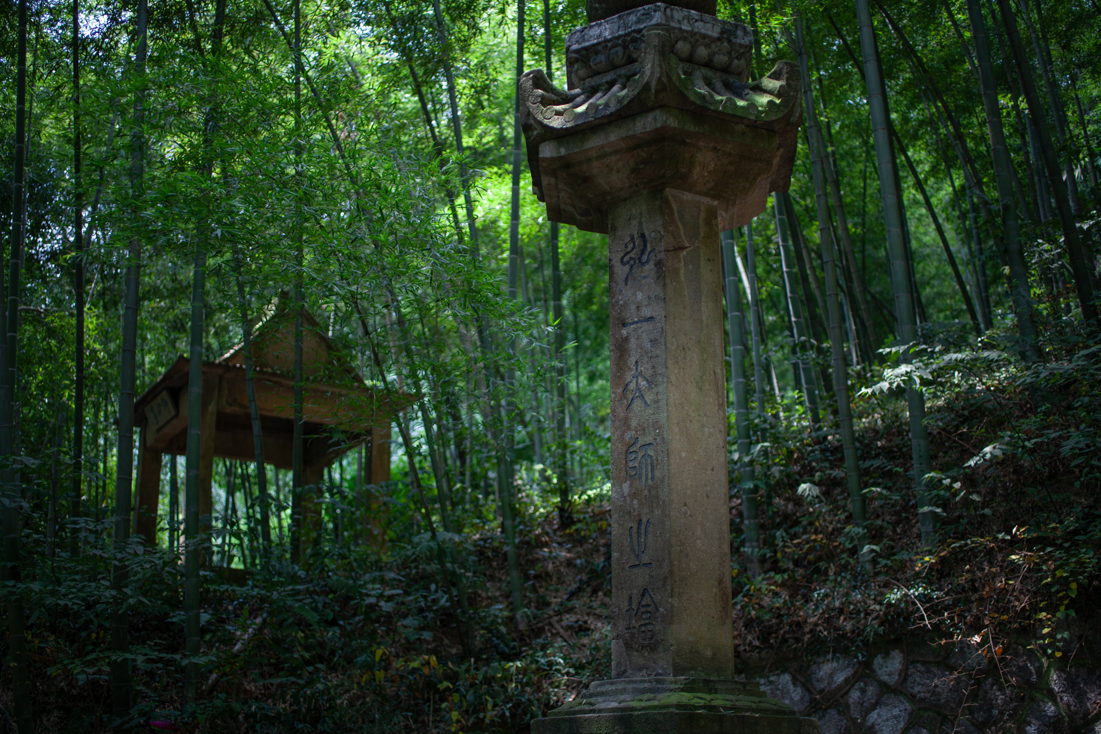 弘一法师在泉州圆寂之后,其遗骨分葬于泉,杭二地,在杭者即葬于虎跑寺