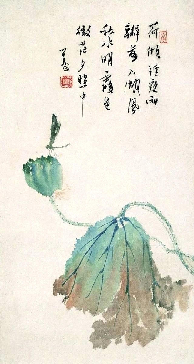 名家笔下的荷花蜻蜓冰心那张原来学他的