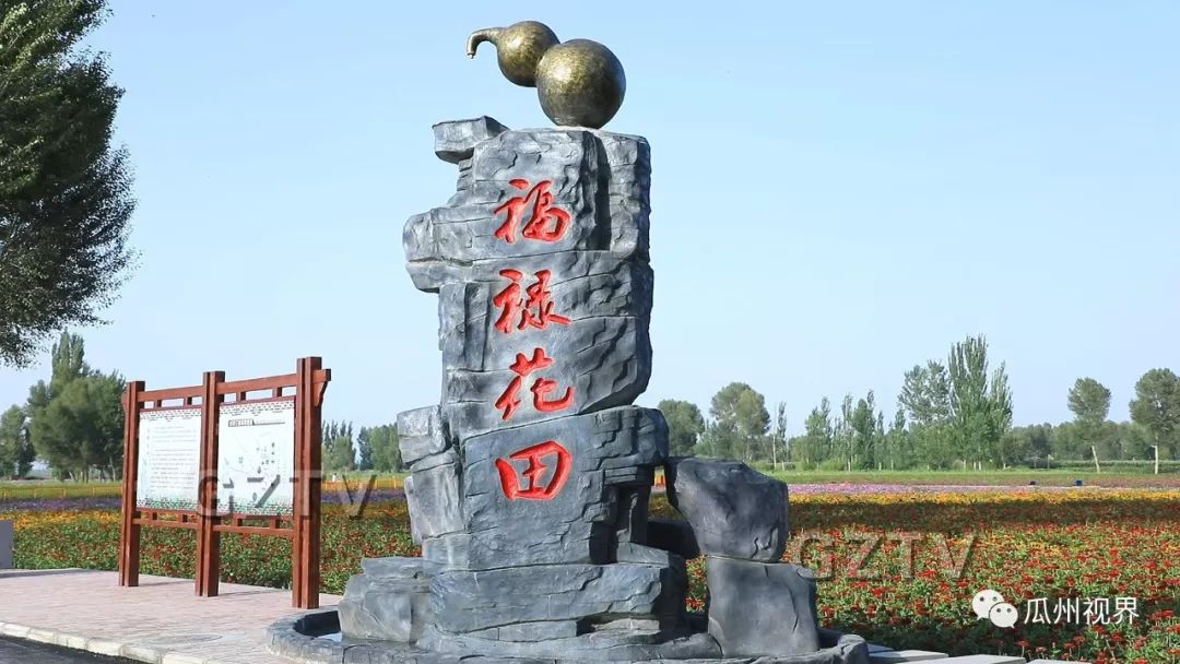 瓜州新地标瓜州县三道沟镇福禄花田