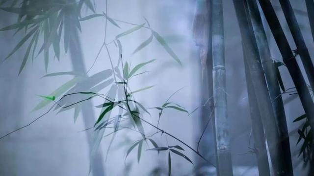 告诉你如何才能把竹子拍出味道