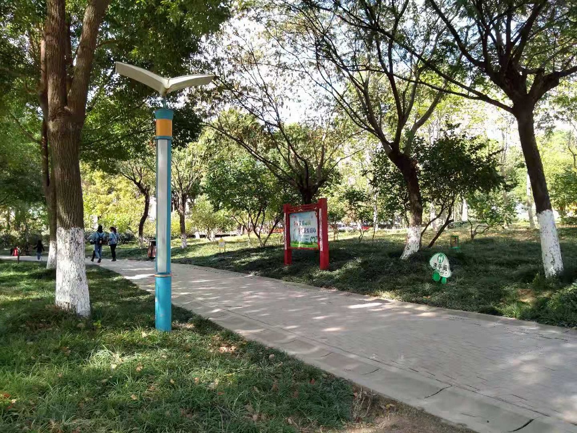 宝应北河公园(pic by adpersonin)