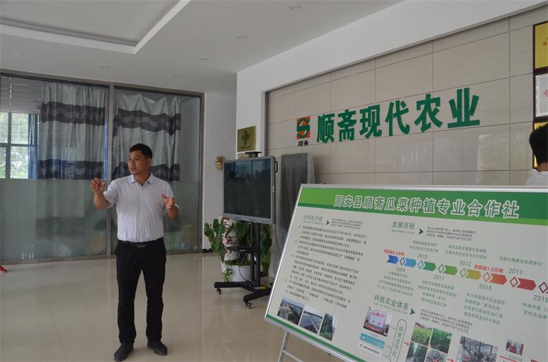 网站建设合作社 rmh.pdnews.cn
